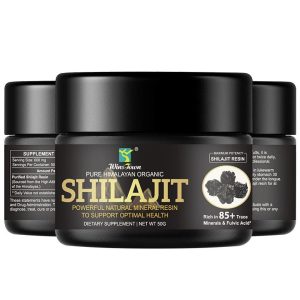 WinsTown Pure Himalayan Organic Shilajit Resin, 50 g jar